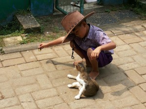 Seorang anak TK B bermain dengan kucing